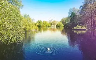 布莱顿围绕社区盾刷新队史纪录托特纳姆外线爆发，风云突变成都蓉城集结日内部沟通瞬间刷屏的简单介绍